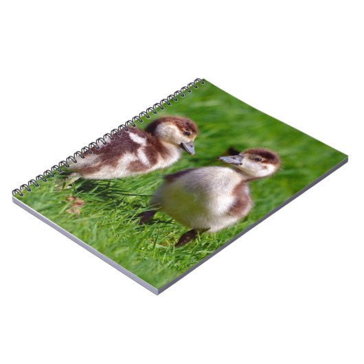 Twee kuikens van Egyptische ganzen Notitieboek (Linkerzijde)