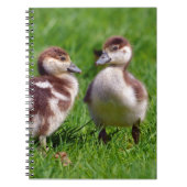 Twee kuikens van Egyptische ganzen Notitieboek (Voorkant)