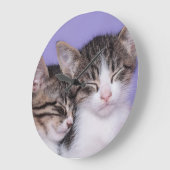 Twee Kute Kittens Napping Grote Klok (Hoek)
