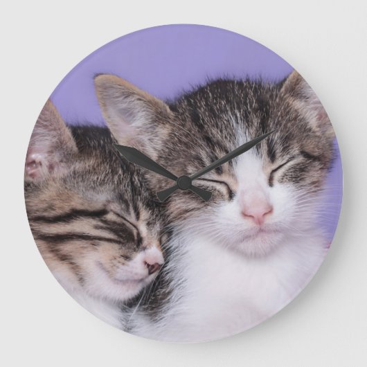 Twee Kute Kittens Napping Grote Klok (Voorkant)