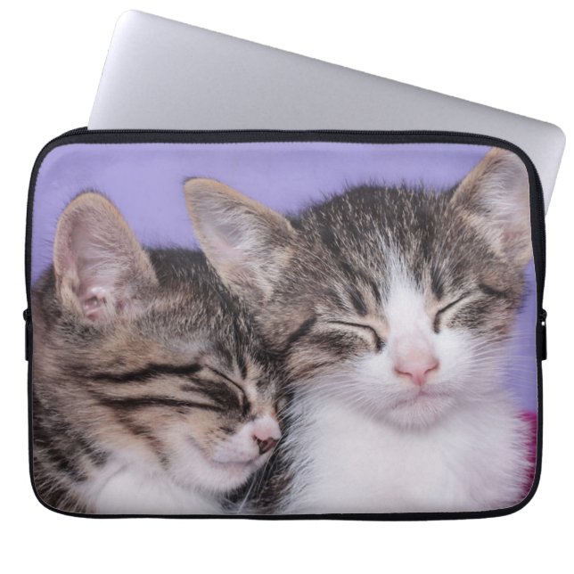 Twee Kute Kittens Napping Laptop Sleeve (Voorkant)