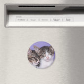 Twee Kute Kittens Napping Magneet (Insitu (Vaatwasser))