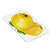 Twee kwekerijvruchten magneet (Rechterzijde)