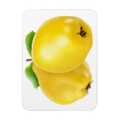 Twee kwekerijvruchten magneet (Verticaal)