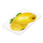 Twee kwekerijvruchten magneet (Linkerzijde)