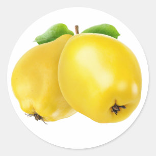 Twee kwekerijvruchten ronde sticker