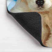 Twee Labrador-pups Muismat (Hoek)