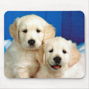 Twee Labrador-pups Muismat