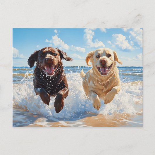 Twee Labrador Retrievers op het strand Briefkaart (Voorkant)