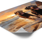Twee labradors op het strand poster (Hoek)