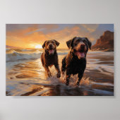 Twee labradors op het strand poster (Voorkant)