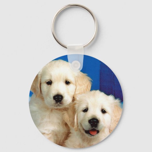 Twee labradors sleutelhanger (Voorkant)