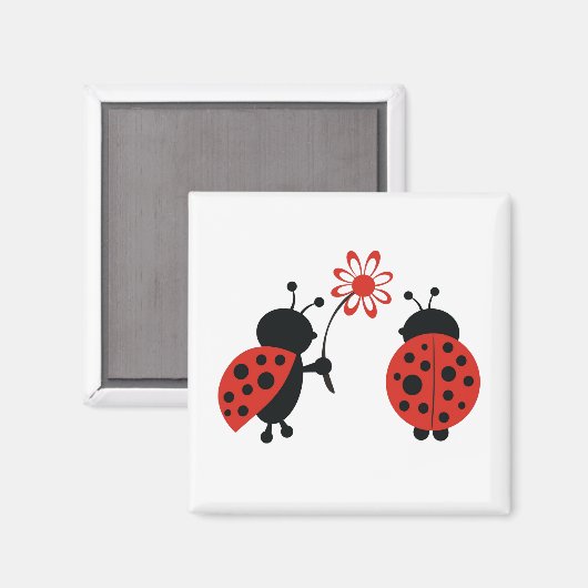 Twee Lady Bugs Magnet (Voorkant / Achterkant)