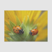 Twee Lady Bugs op een zonnebloempapier Tissuepapier (Voorkant)