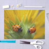 Twee Lady Bugs op een zonnebloempapier Tissuepapier (Craft)