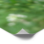 twee ladybugs poster (Hoek)