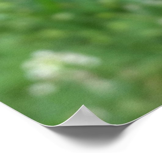 twee ladybugs poster (Hoek)