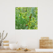 twee ladybugs poster (Keuken)