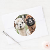 Twee lama's ronde sticker (Envelop)
