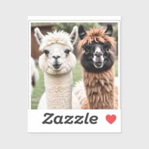 Twee lama's sticker