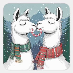 Twee lama's zoenen en delen een snoepstok vierkante sticker