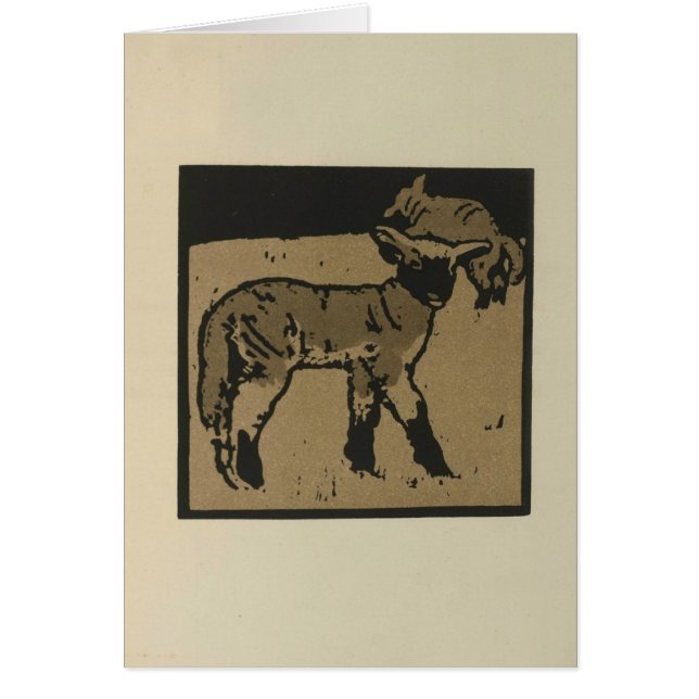 Twee lammeren (Voorkant)