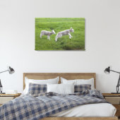 Twee lammeren canvas afdruk (Insitu (Slaapkamer))