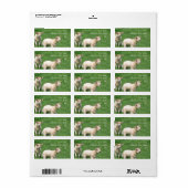 Twee lammeren etiket (Full Sheet)