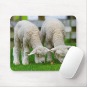 Twee lammeren grazen muismat (Met muis)