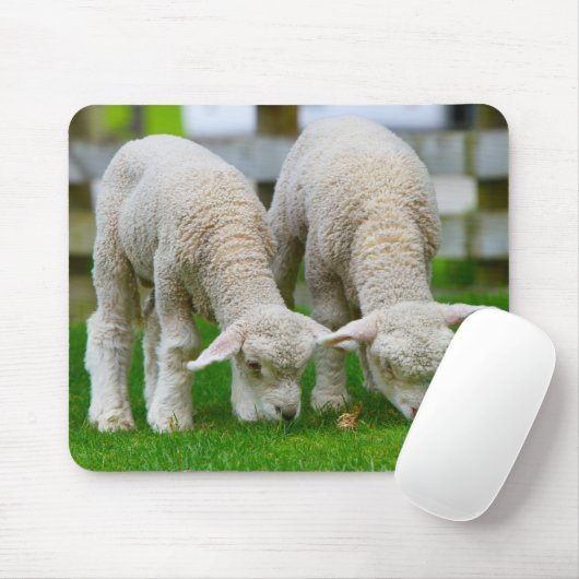 Twee lammeren grazen muismat (Met muis)