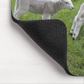 Twee lammeren muismat (Hoek)