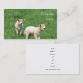 Twee lammeren Visitekaartjes (Voorkant / Achterkant)