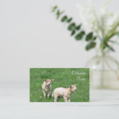 Twee lammeren Visitekaartjes (Staand voorkant)