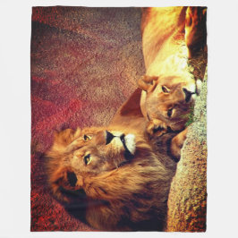 Twee leeuwen fleece deken
