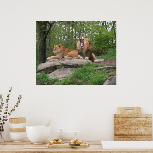 Twee leeuwen poster (Keuken)