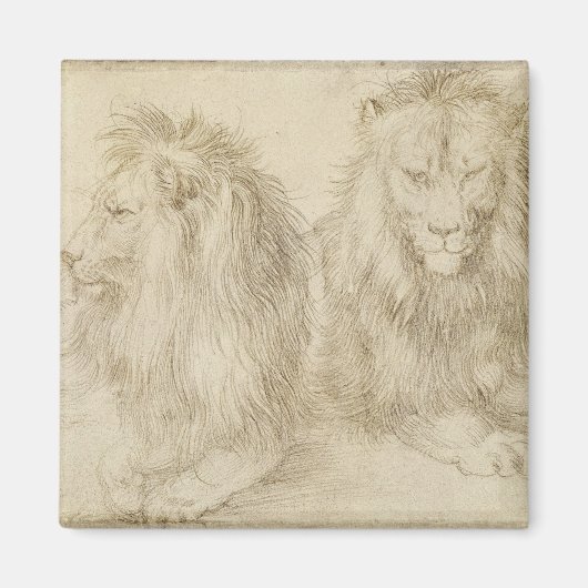 Twee leeuwen (wilde dieren) (Albrecht Durer) Magneet (Voorkant)