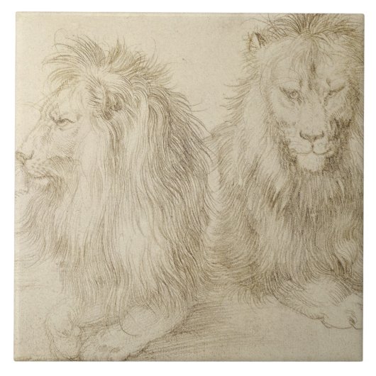 Twee leeuwen (wilde dieren) (Albrecht Durer) Tegeltje (Voorkant)