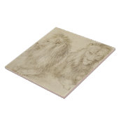 Twee leeuwen (wilde dieren) (Albrecht Durer) Tegeltje (Zijkant)