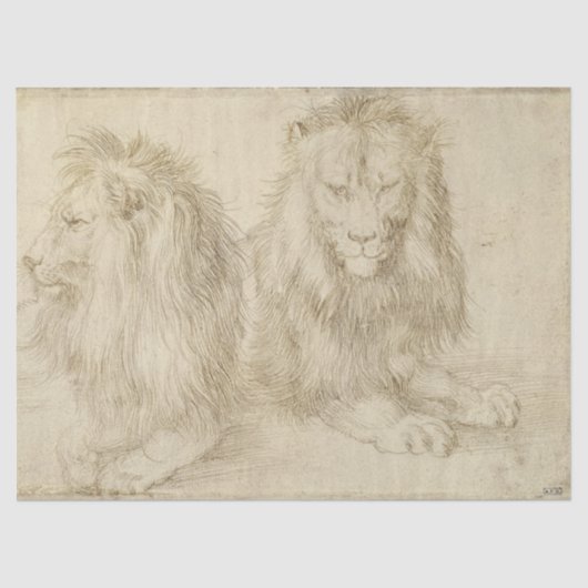 Twee leeuwen (wilde dieren) (Albrecht Durer) Tissuepapier (Voorkant)