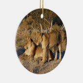Twee leeuwinnen samen keramisch ornament (Rechts)
