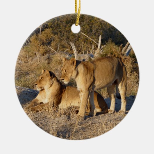 Twee leeuwinnen samen keramisch ornament (Voorkant)