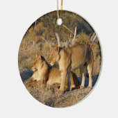 Twee leeuwinnen samen keramisch ornament (Links)
