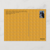 Twee legante dames lopen in een bar briefkaart (Achterkant)