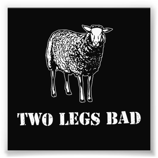 Twee Legs Bad Sheep Foto Afdruk (Voorkant)