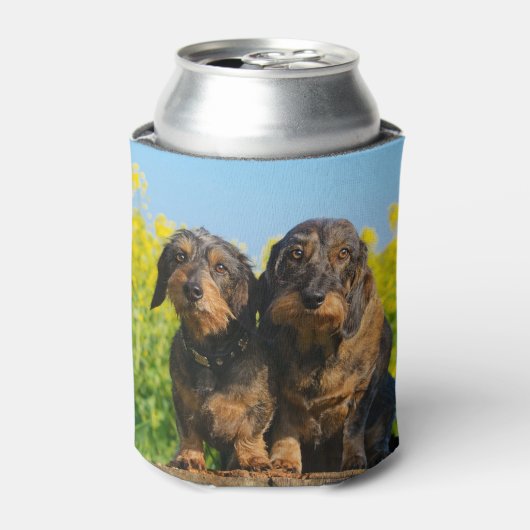 Twee Leuke Dachshund Honden Dackel Foto Grappige B Blikjeskoeler (Blikje Voorkant)