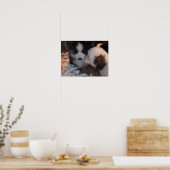 Twee leuke puppies poster afdrukken (Keuken)