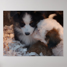 Twee leuke puppies poster afdrukken