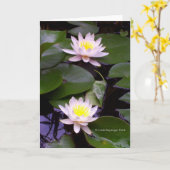 Twee Lichte Waterlelies Kaart (Gele Bloem)