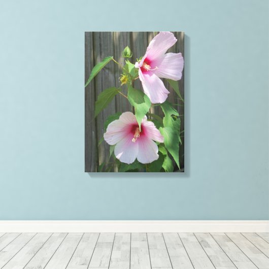 Twee lichtroze hibiscusbloemen canvas afdruk (Insitu (Houten vloer))