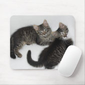 Twee lieve Kittens Muismat (Met muis)